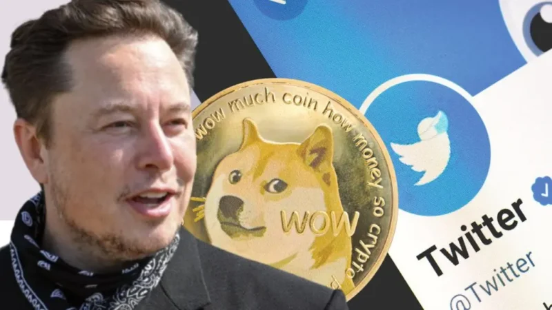 Elon Musk replaces Twitter logo with DOGE – and explodes Dogecoin price