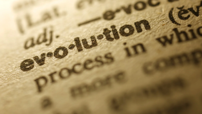 Play-to-Earn Metaverse Evolution and What Comes Next