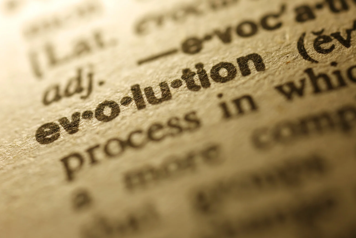 Play-to-Earn Metaverse Evolution and What Comes Next