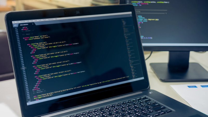 Developer Activity Altcoin Quality Signals Every Investor Must Know