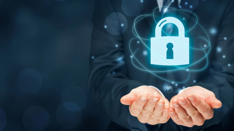 Portfolio Protection Tools: Best Tools Every Investor Should Use