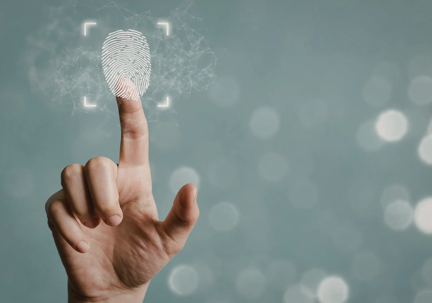 Multi-Factor Authentication Security: Protecting Your Portfolio